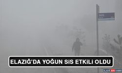 Elazığ'da Yoğun Sis Etkili Oldu