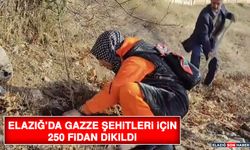 Elazığ’da Gazze Şehitleri İçin 250 Fidan Dikildi