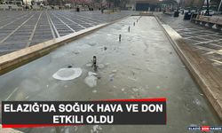 Elazığ’da Soğuk Hava ve Don Etkili Oldu