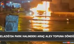 Elazığ'da Park Halindeki Araç Alev Topuna Döndü