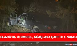 Elazığ’da Otomobil, Ağaçlara Çarptı: 4 Yaralı