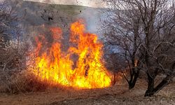 Çemişgezek'te otluk arazide çıkan yangın söndürüldü