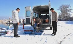 Van'da balıkçılar kışın dondurucu soğuğunda av mesaisinde