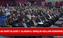 AK Parti Elazığ 7. Olağan İl Gençlik Kolları Kongresi