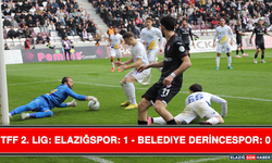 TFF 2. Lig: Elazığspor: 1 - Belediye Derincespor: 0