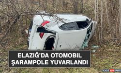 Elazığ’da Otomobil Şarampole Yuvarlandı