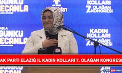 AK Parti Elazığ İl Kadın Kolları 7. Olağan Kongresi