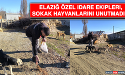 Elazığ Özel İdare Ekipleri, Sokak Hayvanlarını Unutmadı