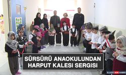 Sürsürü Anaokulundan Harput Kalesi Sergisi