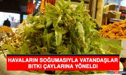 Havaların Soğumasıyla Vatandaşlar, Bitki Çaylarına Yöneldi