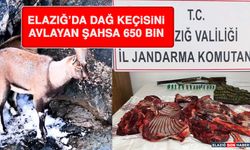 Elazığ’da Dağ Keçisini Avlayan Şahsa 650 Bin Lira Ceza Kesildi