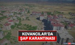 Kovancılar’da Şap Karantinası