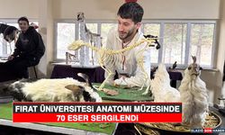 Fırat Üniversitesi Anatomi Müzesinde 70 Eser Sergilendi