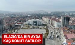 Elazığ’da Bir Ayda Kaç Konut Satıldı?