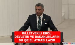 Milletvekili Erol: Devletin ve Bakanlıkların Bu İşe El Atması Lazım