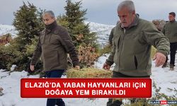 Elazığ’da Yaban Hayvanları İçin Doğaya Yem Bırakıldı