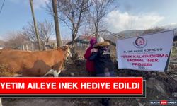 Yetim Aileye İnek Hediye Edildi