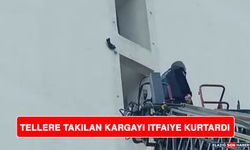 Tellere Takılan Kargayı İtfaiye Kurtardı