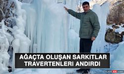 Ağaçta Oluşan Sarkıtlar Travertenleri Andırdı