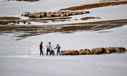 Çığda 42 kişinin hayatını kaybettiği Bahçesaray yolu riskli günlerde kapatılıyor