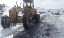 Elazığ'da kar nedeniyle kapanan 297 köy yolu ulaşıma açıldı