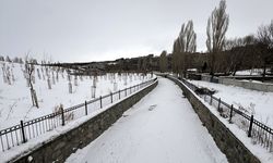 Erzincan, Kars, Ardahan ve Ağrı'da kar etkili oldu