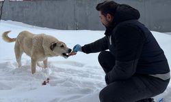 Erzincan'da polisler, sahipsiz hayvanlar için belirli noktalara yiyecek bıraktı