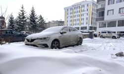 Erzurum, Ardahan ile Kars'ta kar ve soğuk hava etkili oluyor