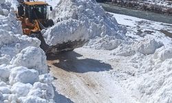 Hakkari'de çığ nedeniyle kapanan yol ulaşıma açıldı