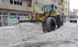 Kars Sarıkamış'ta yoğun yağışla biriken karlar, kamyonlarla ilçe dışına taşınıyor