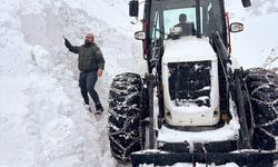 Muş'ta köy yolunda çalışma yapan iş makinesinin üzerine çığ düştü