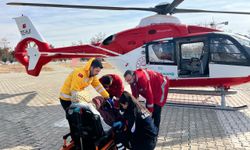 Van'da ambulans helikopter hamile kadın için havalandı