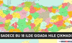 Sadece Bu 18 İlde Gıdada Hile Çıkmadı