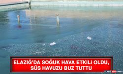 Elazığ’da Soğuk Hava Etkili Oldu, Süs Havuzu Buz Tuttu