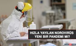 Hızla Yayılan Norovirüs Yeni Bir Pandemi Mi?