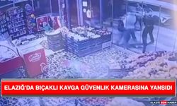 Elazığ'da Bıçaklı Kavga Güvenlik Kamerasına Yansıdı