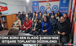 Türk Büro Sen Elazığ Şubesi’nde İstişare Toplantısı Düzenlendi