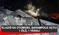 Elazığ’da Otomobil Şarampole Uçtu: 1 Ölü, 1 Yaralı