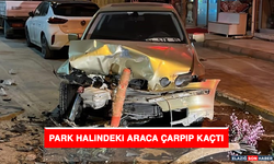 Park Halindeki Araca Çarpıp Kaçtı