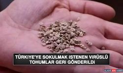 Türkiye'ye Sokulmak İstenen Virüslü Tohumlar Geri Gönderildi