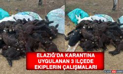 Elazığ’da Karantina Uygulanan 3 İlçede Ekiplerin Çalışmaları Sürüyor