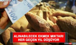 Alınabilecek Ekmek Miktarı Her Geçen Yıl Düşüyor