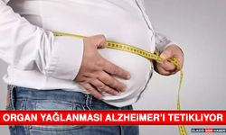 Organ Yağlanması Alzheimer’ı Tetikliyor