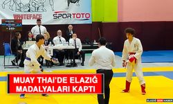 Muay Thai’de Elazığ, Madalyaları Kaptı