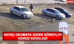 Sayaç Okumaya Giden Görevliyi Horoz Kovaladı