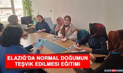 Elazığ’da Normal Doğumun Teşvik Edilmesi Eğitimi