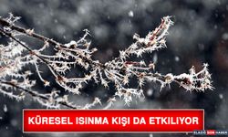 Küresel Isınma Kışı da Etkiliyor