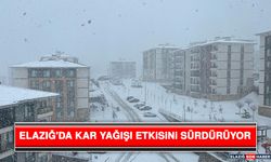 Elazığ'da Kar Yağışı Etkisini Sürdürüyor