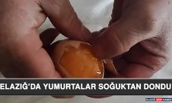 Elazığ’da Yumurtalar Soğuktan Dondu