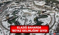 Elazığ Baharda 'Beyaz Gelinliğini' Giydi